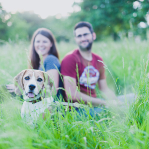 Lena und Dominik, Engagement Shooting